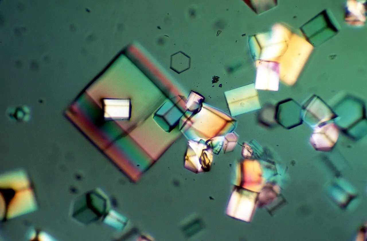 Protein crystals viewed through a microscope