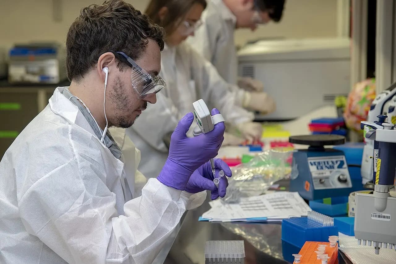 A scientist pipetting samples at a laboratory bench